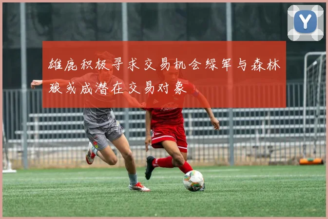 雄鹿积极寻求交易机会绿军与森林狼或成潜在交易对象
