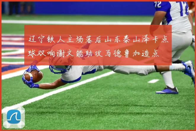 辽宁铁人主场落后山东泰山泽卡点球双响谢文能助攻马德鲁加造点